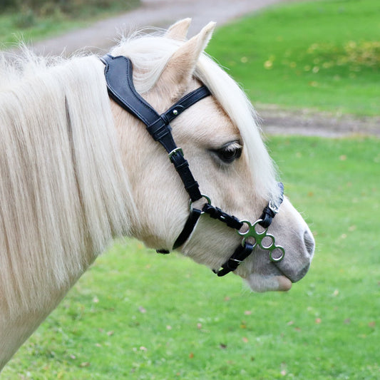 Hackamoreträns "Chamsin" svart