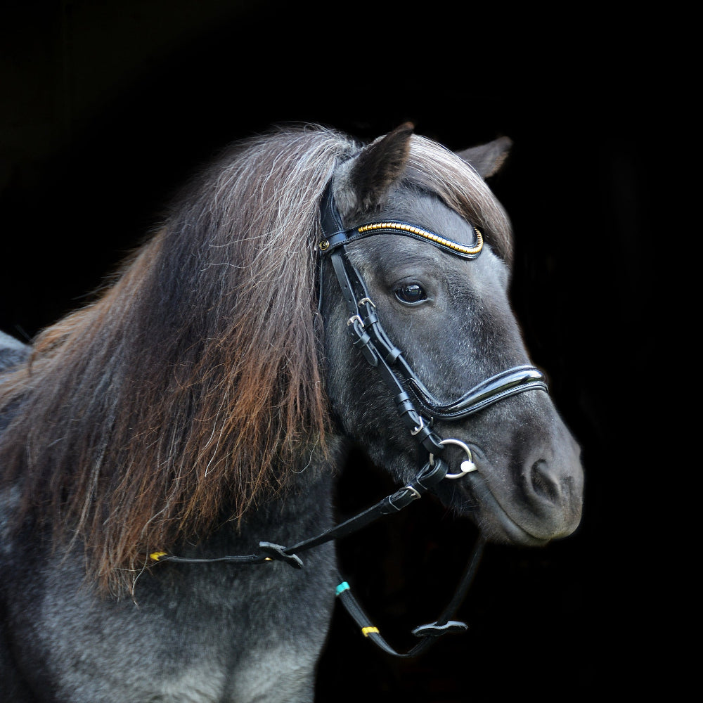 Browband "Classic Gold"