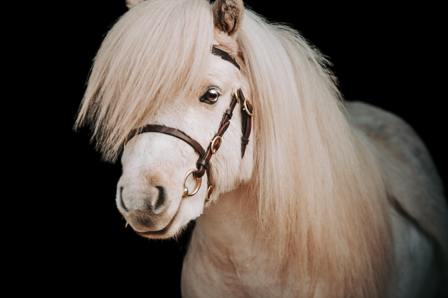Rakt mässingsbett med rörliga ringar