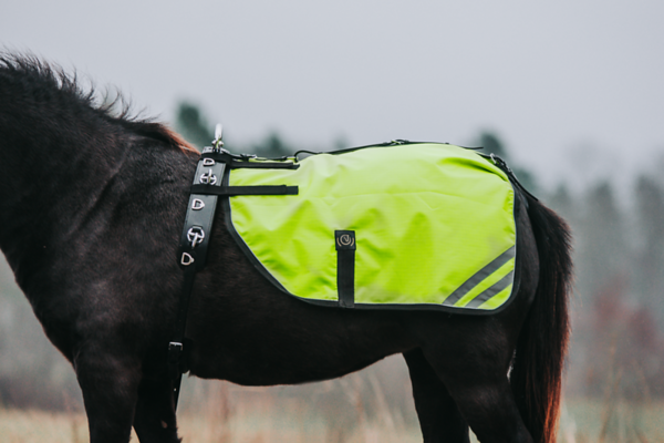 Reflective driving blanket