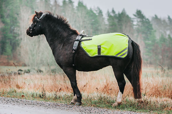 Reflective driving blanket