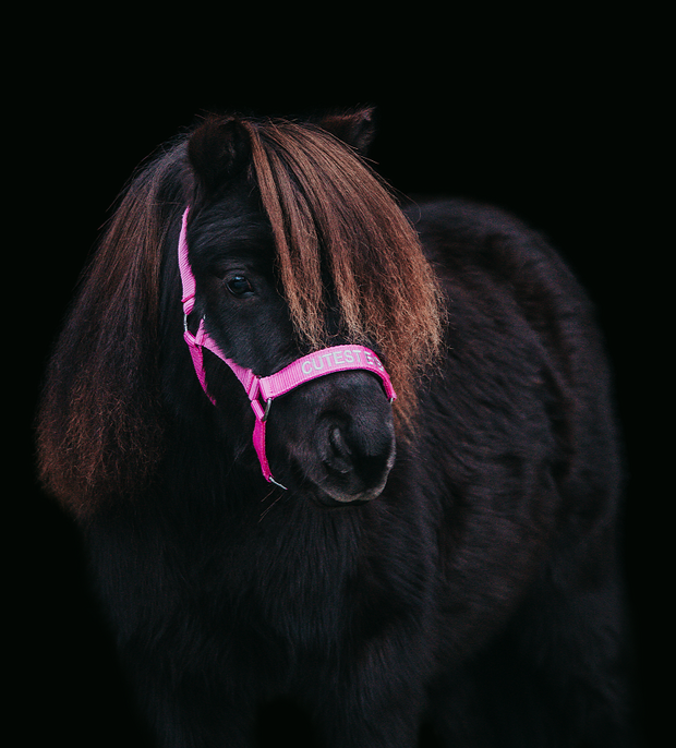 Grimma med text "Cutest Ever"