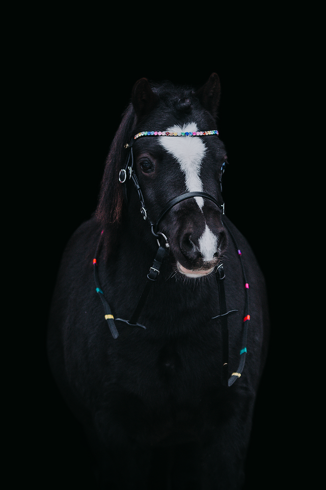 Anti Slip Tygel Multicolor