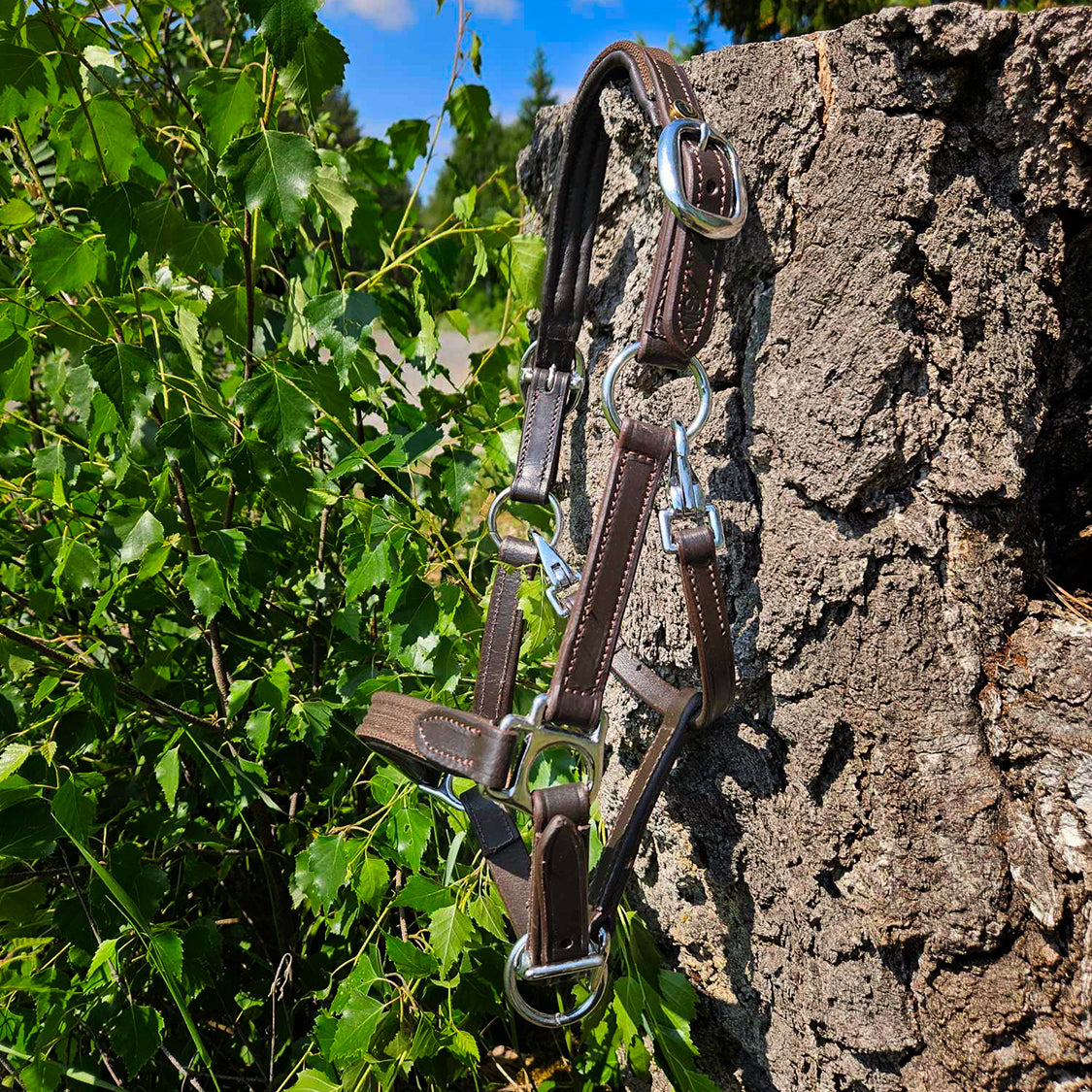 Leather/textile halter "Baloo" brown