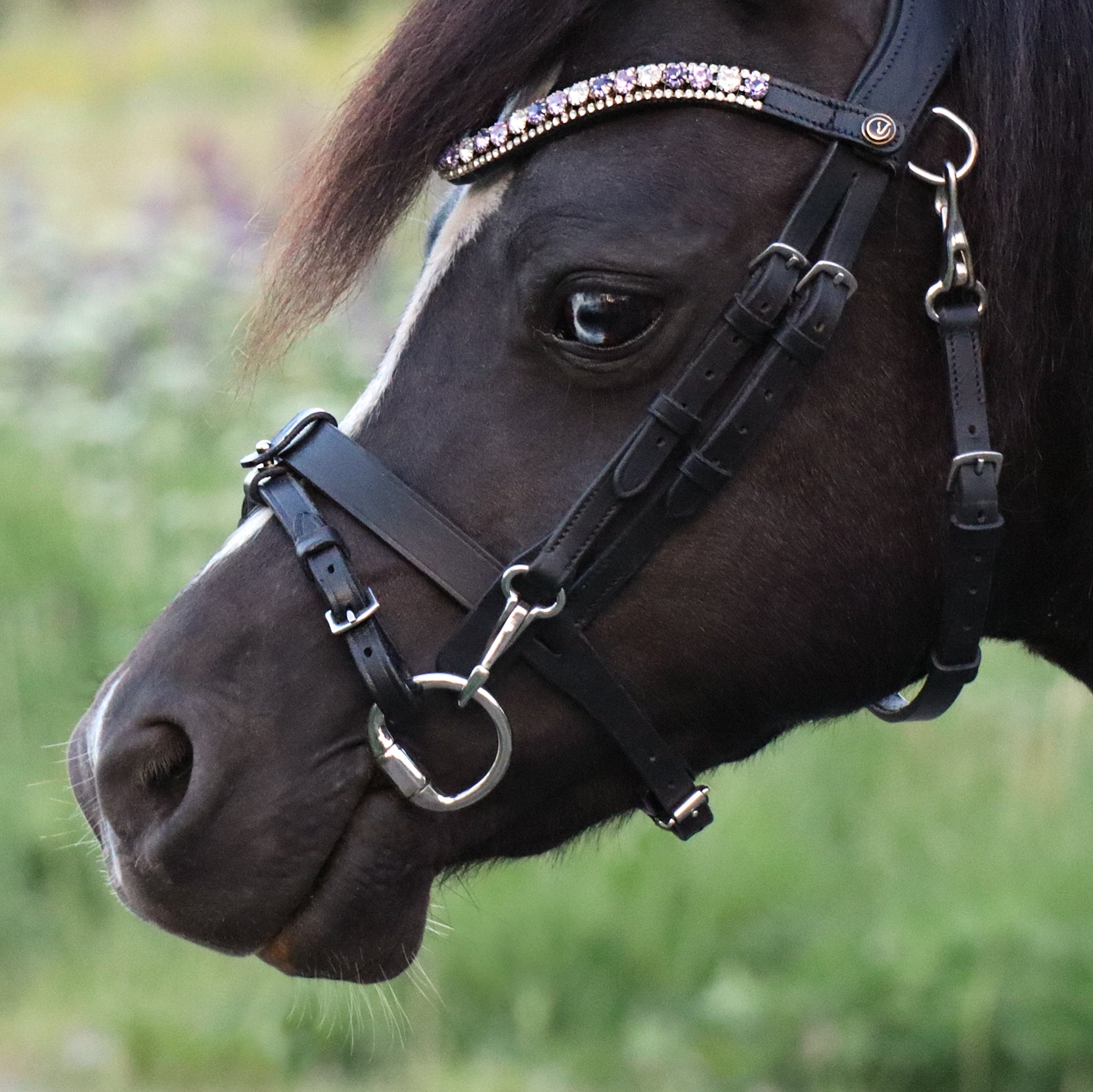 Bit lifter – A Pony Design