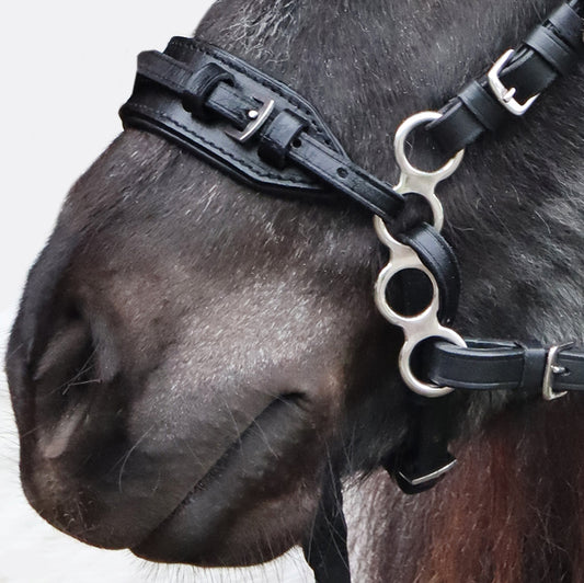 Hackamore black