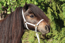 Upload image for gallery view, Foal halter &quot;Jackpot&quot; white
