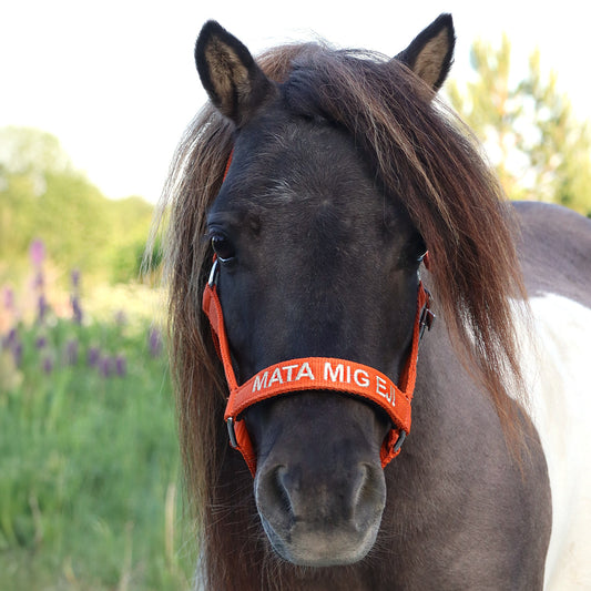 Halter with text "Mata mig ej"
