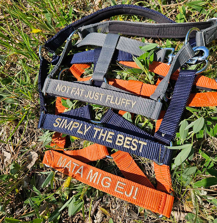 Halter with text "Not Fat Just Fluffy"