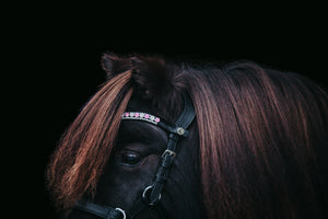 Browband "Pretty Pink"