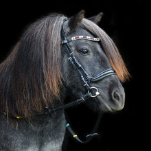 Upload image for gallery view, Browband &quot;Ruby Tuesday&quot;
