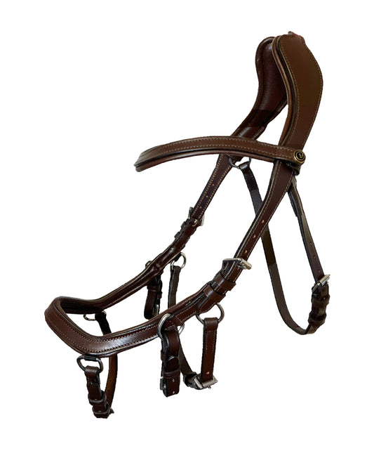 Bridle "Dazie" brown