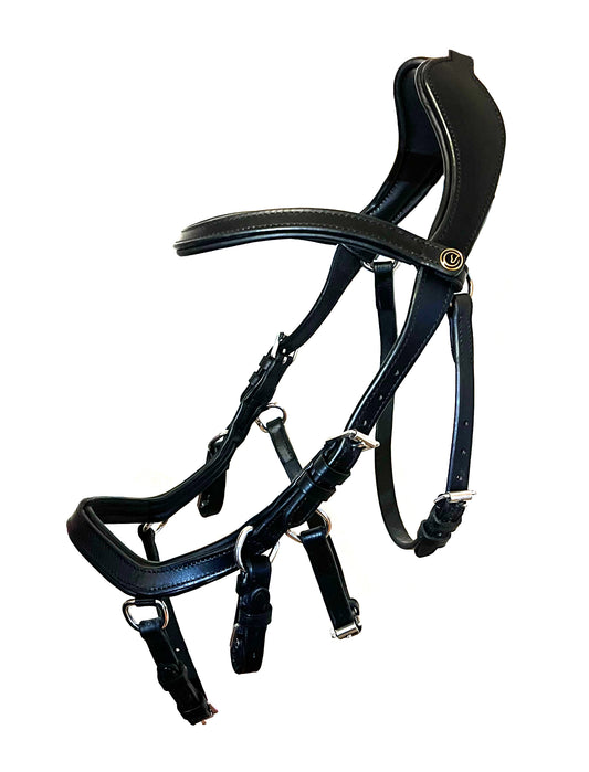 Bridle "Dazie" black
