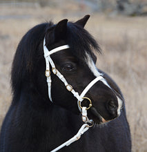 Upload image for gallery view, Bridle &quot;Indigo&quot; white with gold colored buckles
