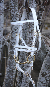 Bridle "Indigo" white with gold colored buckles
