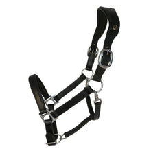 Upload image for gallery view, Anatomical Leather Halter &quot;Addie&quot; black / silver
