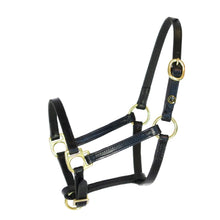 Upload image for gallery view, Outlet Foal halter &quot;Jackpot&quot; black
