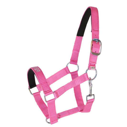 Halter with text "Cutest Ever"