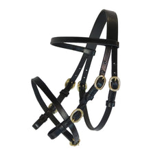 Upload image for gallery view, Bridle &quot;Indigo&quot; black with gold-colored buckles
