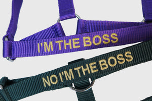 Halter with text "No I'm the Boss" (Ordered from our supplier)
