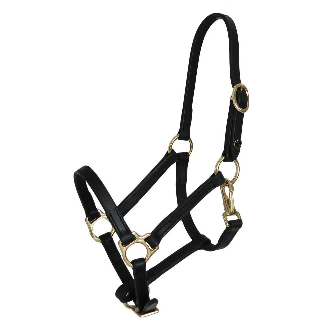 Foal halter "Jackpot" with  snaphook, black