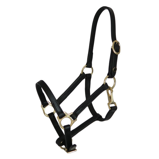 Foal halter "Jackpot" with  snaphook, black