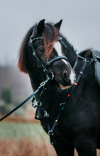 Upload image for gallery view, Bridle &quot;Dixie&quot; black
