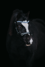 Upload image for gallery view, Browband &quot;Frosted Moonlight&quot;
