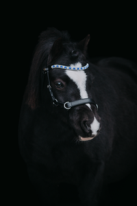 Browband "Frosted Moonlight"