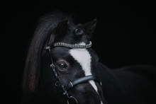 Upload image for gallery view, Browband &quot;Deep Night&quot;
