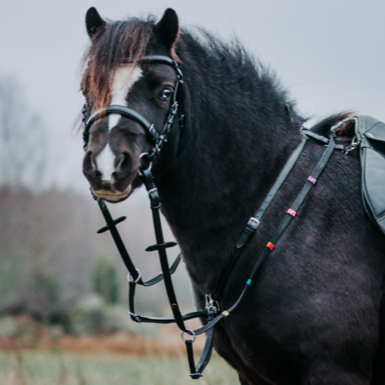 Anti Slip Reins Multi-color
