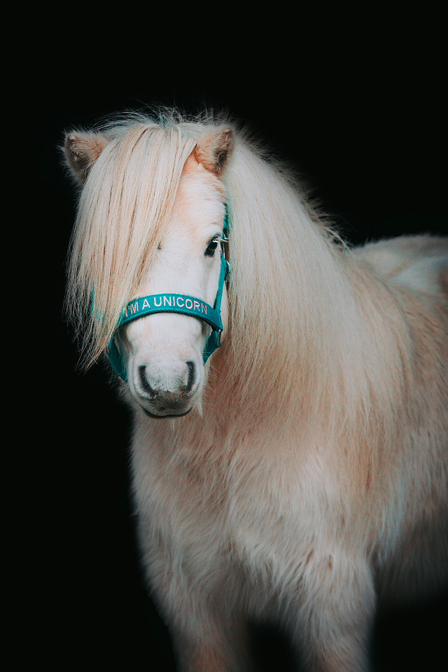 Outlet Grimma med text "I'm a Unicorn"